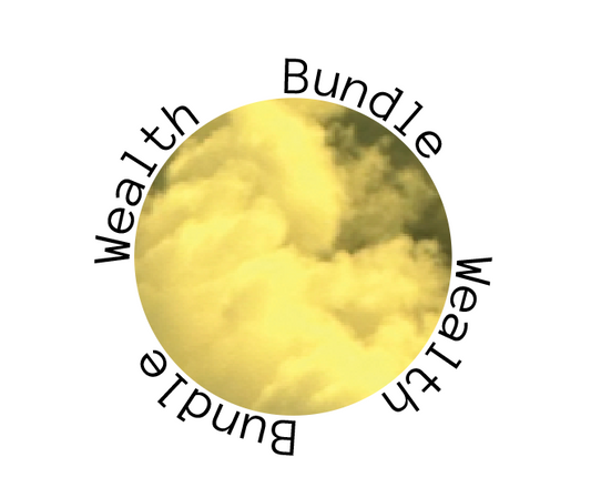 Wealth Bundle (Foundation& Activation)